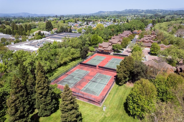 aerial view