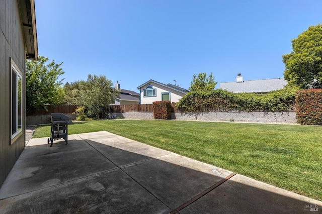 view of yard featuring a fenced backyard and a patio area