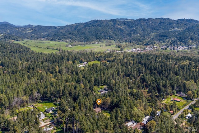 bird's eye view with a mountain view and a wooded view
