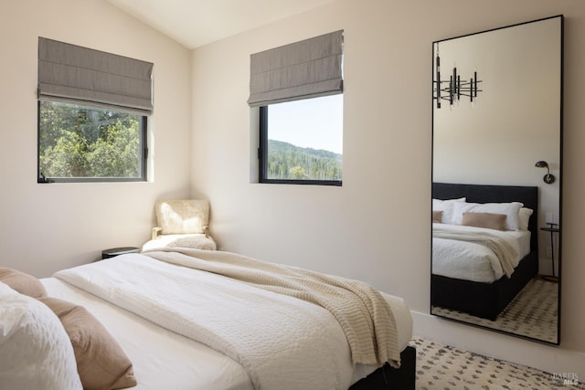 bedroom with lofted ceiling