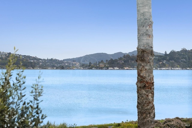 18 Egret Way, Mill Valley, CA 94941 - water view featuring a mountain view