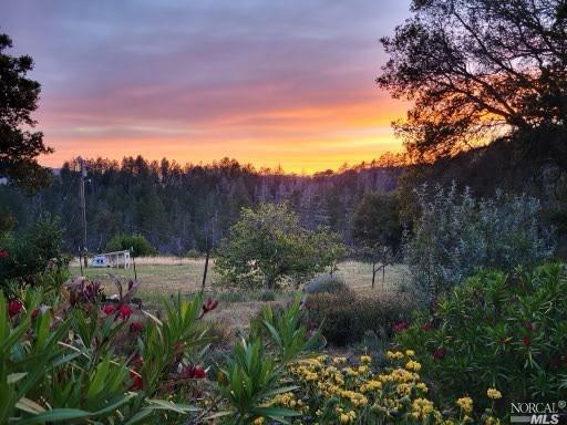 nature at dusk featuring a forest view