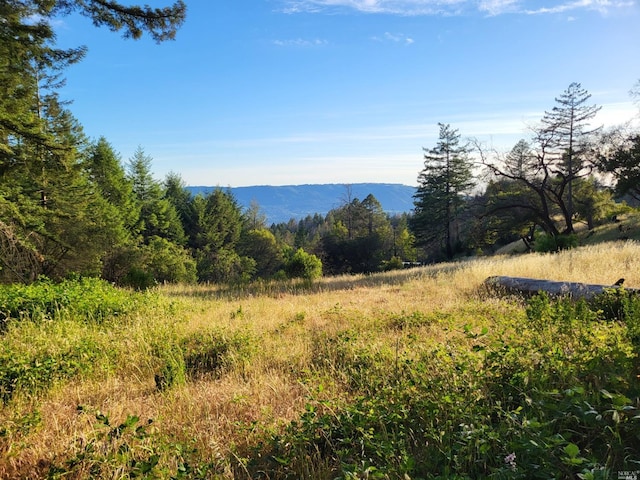 property view of mountains featuring a forest view