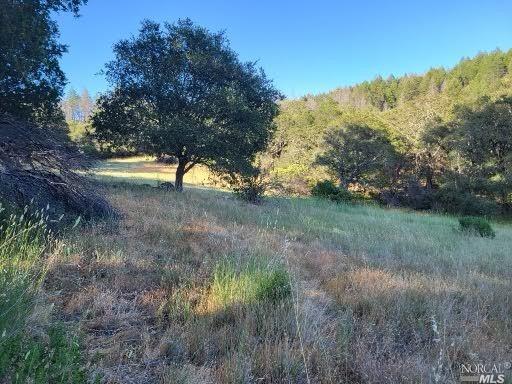 view of nature