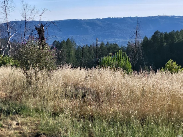 property view of mountains