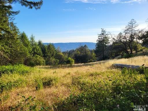 view of mountain feature with a wooded view