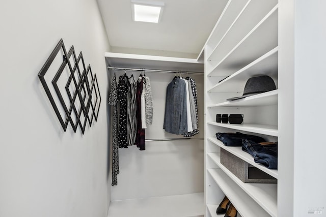 view of walk in closet