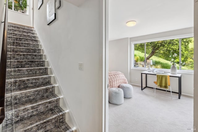 28 Timothy Ave, San Anselmo, CA 94960 - staircase featuring plenty of natural light and carpet