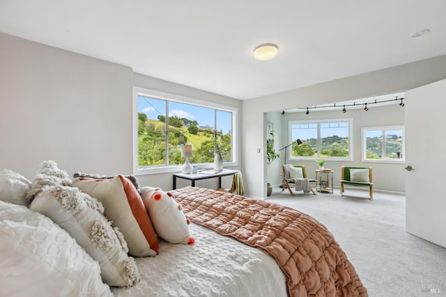 28 Timothy Ave, San Anselmo, CA 94960 - bedroom featuring carpet floors