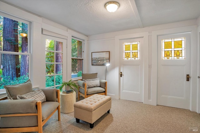 337 Madrone Ave, Larkspur, CA 94939 - living area with a textured ceiling and carpet flooring