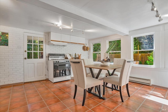 337 Madrone Ave, Larkspur, CA 94939 - dining room featuring rail lighting, a baseboard radiator, healthy amount of natural light, and tile patterned flooring