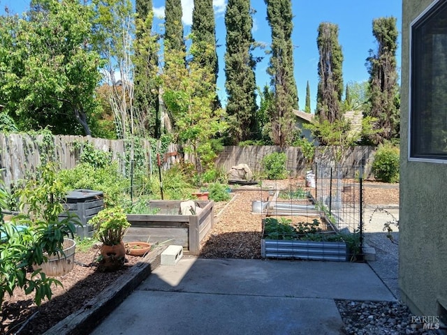 exterior space featuring a fenced backyard and a vegetable garden