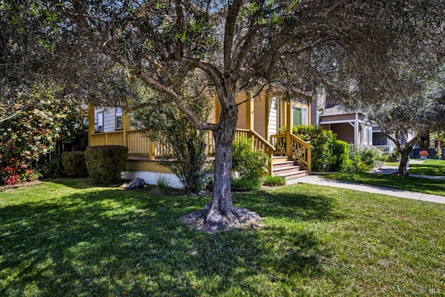 view of property hidden behind natural elements with a front lawn