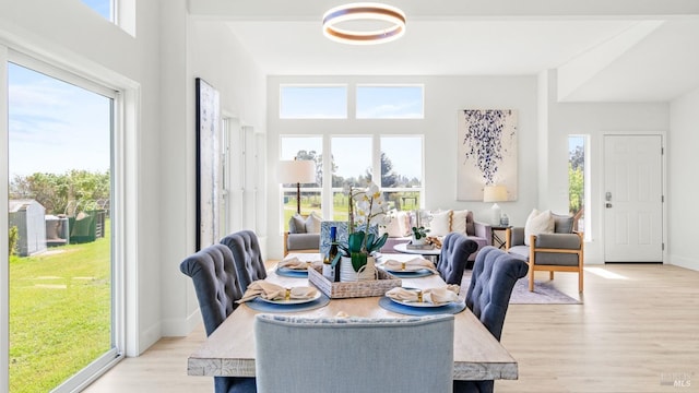 dining space with a wealth of natural light, light wood finished floors, and baseboards