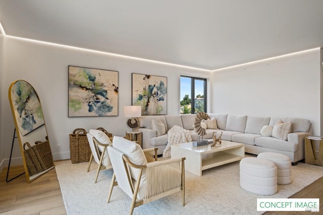 living area featuring light wood finished floors