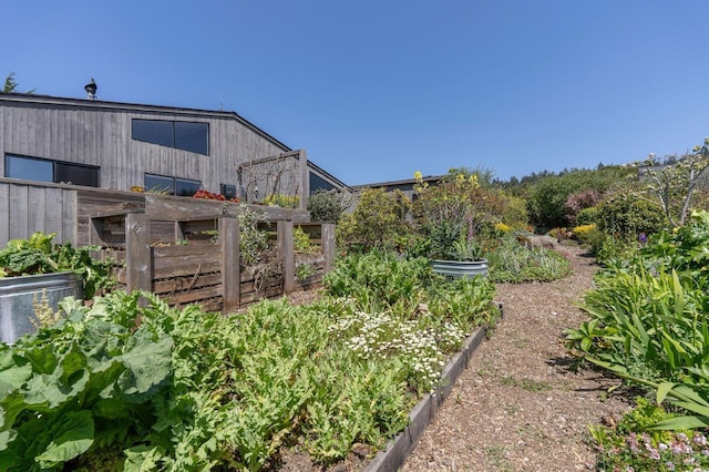 view of yard with a garden