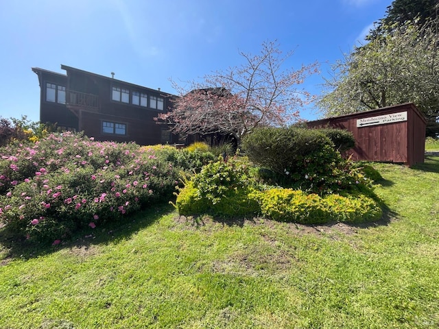 view of yard