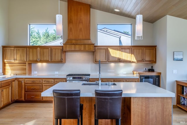 kitchen with stainless steel range, a sink, lofted ceiling, and light wood-style floors