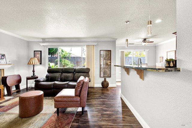 living area with baseboards, dark wood-style flooring, ornamental molding, and a textured ceiling