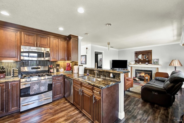 kitchen featuring a sink, a peninsula, open floor plan, dark wood-style floors, and appliances with stainless steel finishes
