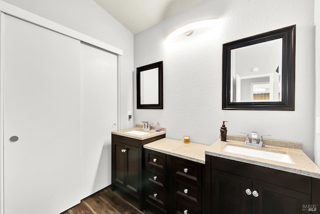 bathroom with wood finished floors and vanity