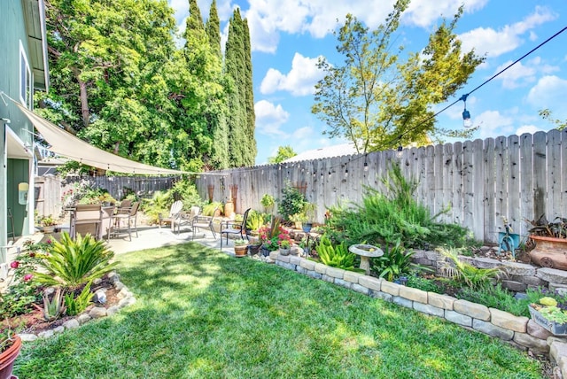 view of yard with a patio area and a fenced backyard