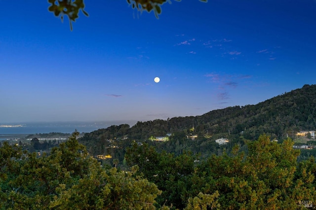 mountain view with a wooded view