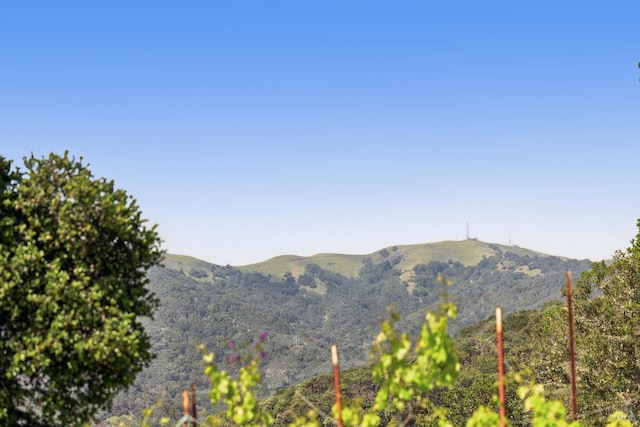 view of mountain feature