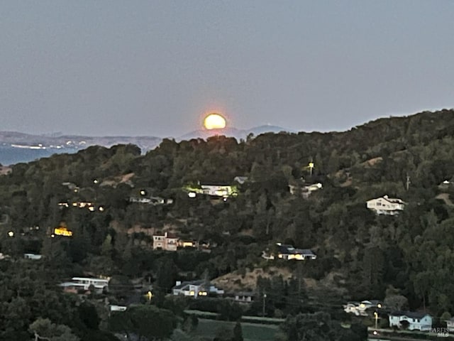 mountain view featuring a forest view