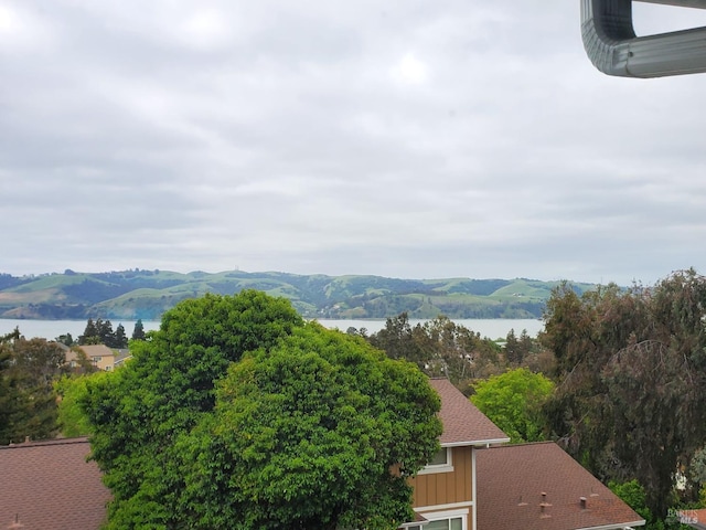 property view of mountains with a water view