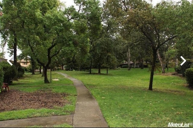 view of community with a yard