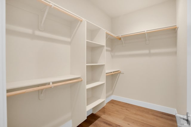 walk in closet with wood finished floors