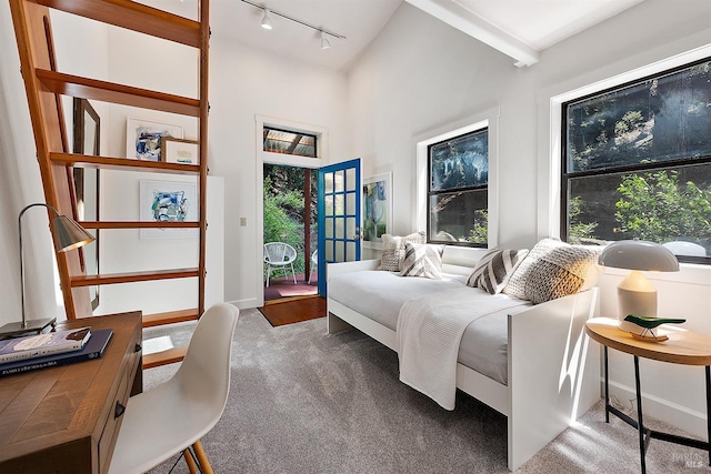 11969 Canyon Dr, Guerneville, CA 95446 - carpeted bedroom with track lighting and high vaulted ceiling