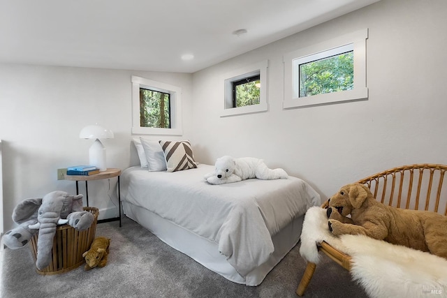 11969 Canyon Dr, Guerneville, CA 95446 - bedroom with carpet flooring and multiple windows