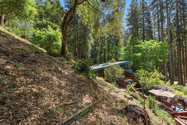11969 Canyon Dr, Guerneville, CA 95446 - view of tree filled area