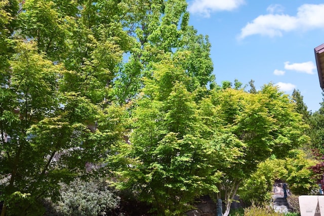 view of nature