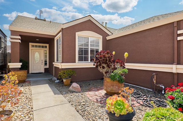 doorway to property with stucco siding and roof with shingles