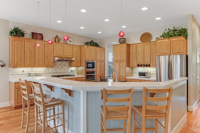 kitchen featuring decorative backsplash, a large island, under cabinet range hood, light wood finished floors, and appliances with stainless steel finishes