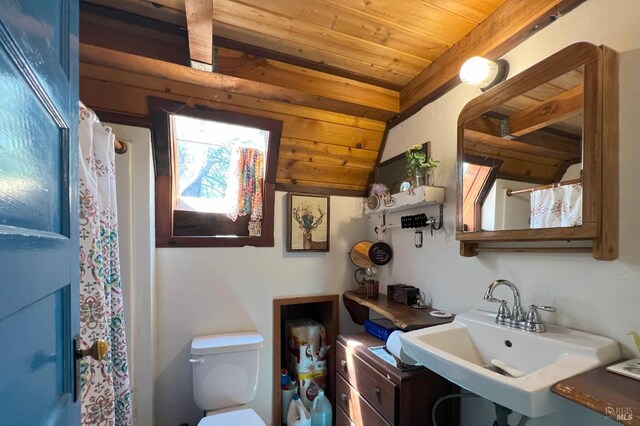 3984 Eagles Point Rd, Potter Valley, CA 95469 - bathroom with wooden ceiling, a sink, toilet, and curtained shower