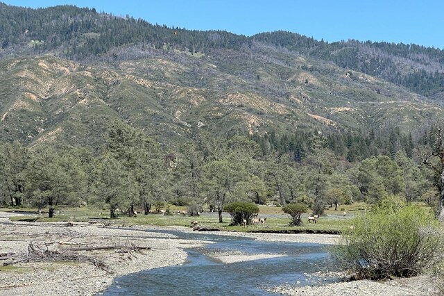 3984 Eagles Point Rd, Potter Valley, CA 95469 - mountain view with a forest and a large body of water