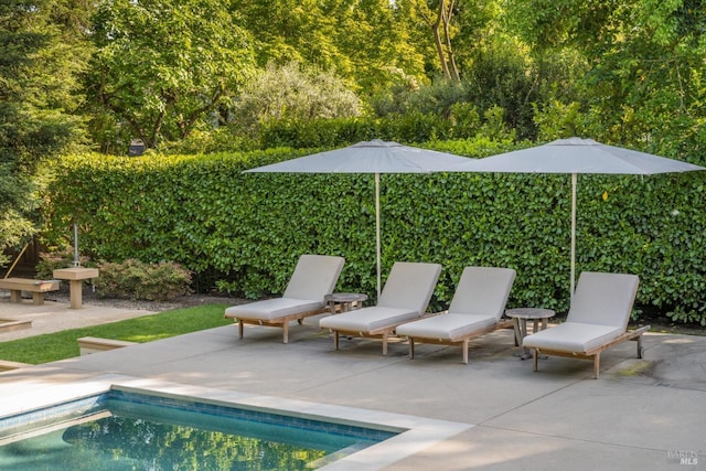 view of swimming pool featuring a fenced in pool and a patio area