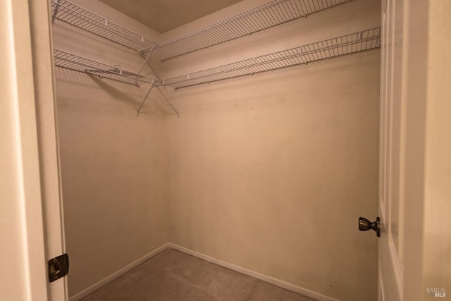 spacious closet with carpet floors
