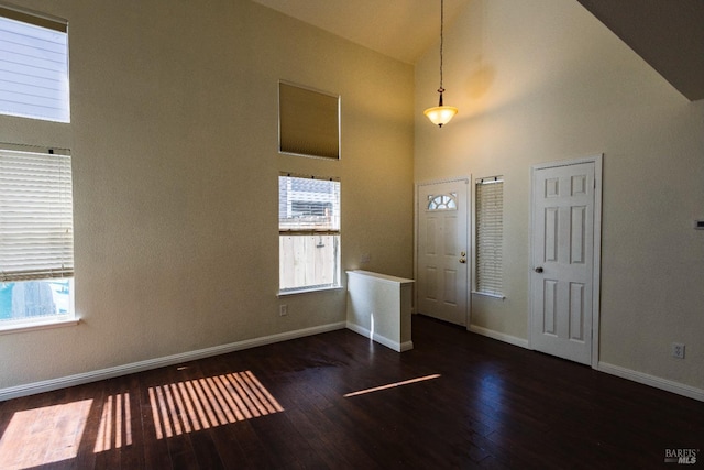 foyer with wood finished floors, a wealth of natural light, and a high ceiling