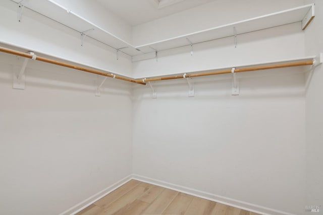 spacious closet featuring light wood-style flooring