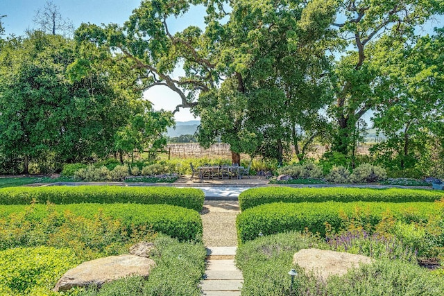 5310 Silverado Trl, Napa, CA 94558 - view of surrounding community