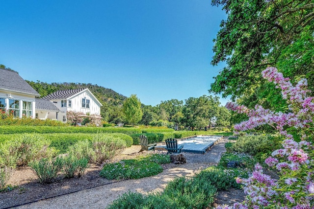 5310 Silverado Trl, Napa, CA 94558 - view of yard