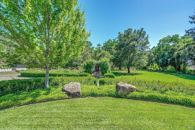 5310 Silverado Trl, Napa, CA 94558 - view of yard