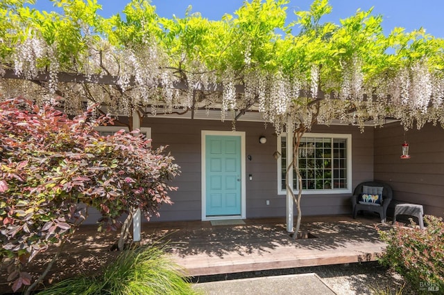 view of exterior entry with a porch