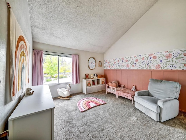 playroom featuring a wainscoted wall, a textured ceiling, carpet flooring, and lofted ceiling