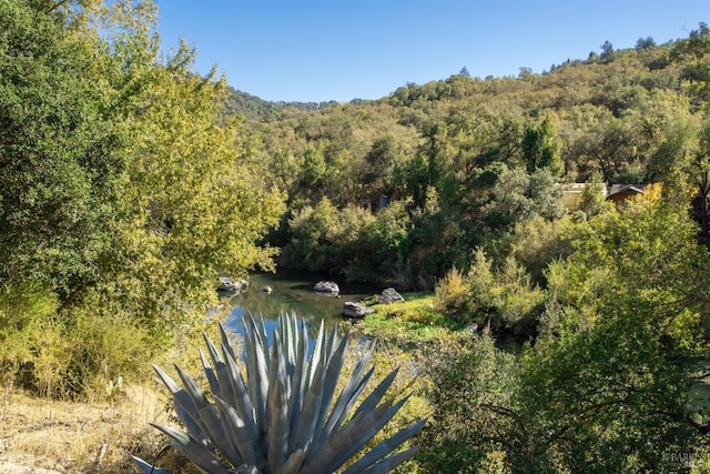 view of water feature featuring a wooded view